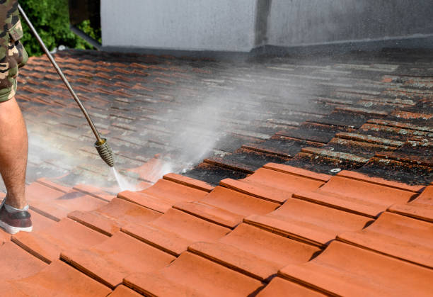 Best Affordable Power Washing  in Homestead Meadows North, TX